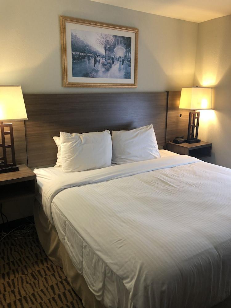Clarion Pointe Charleston - West Ashley Hotel Екстериор снимка